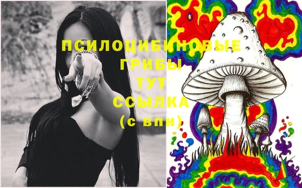 дмт Покачи