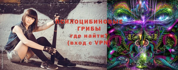 МДПВ Пролетарск