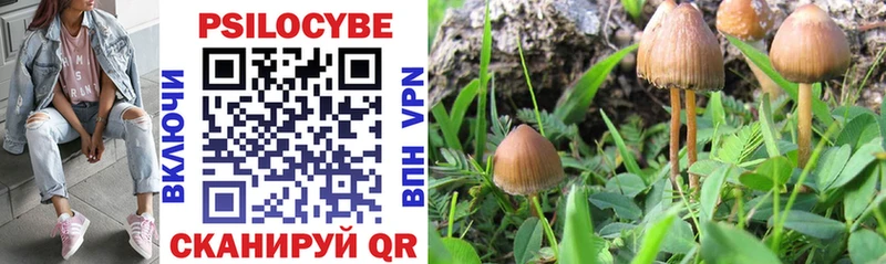 KRAKEN сайт  как найти закладки  Стрежевой  Галлюциногенные грибы MAGIC MUSHROOMS 