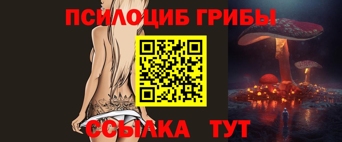 Псилоцибиновые грибы Psilocybe  Вход с VPN  Стрежевой  Галлюциногенные грибы Cubensis 